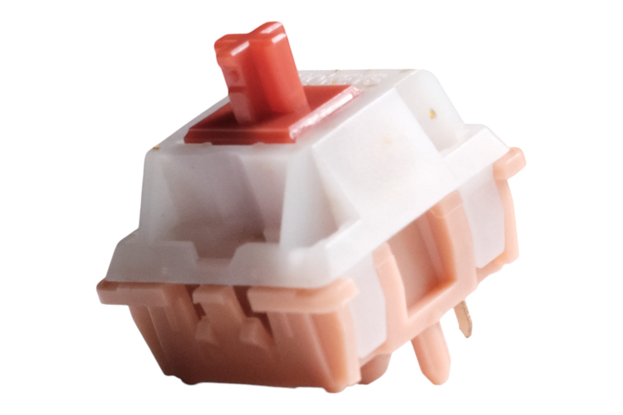 Invokeys Goji Reserve Tactile Switch · Milktooth